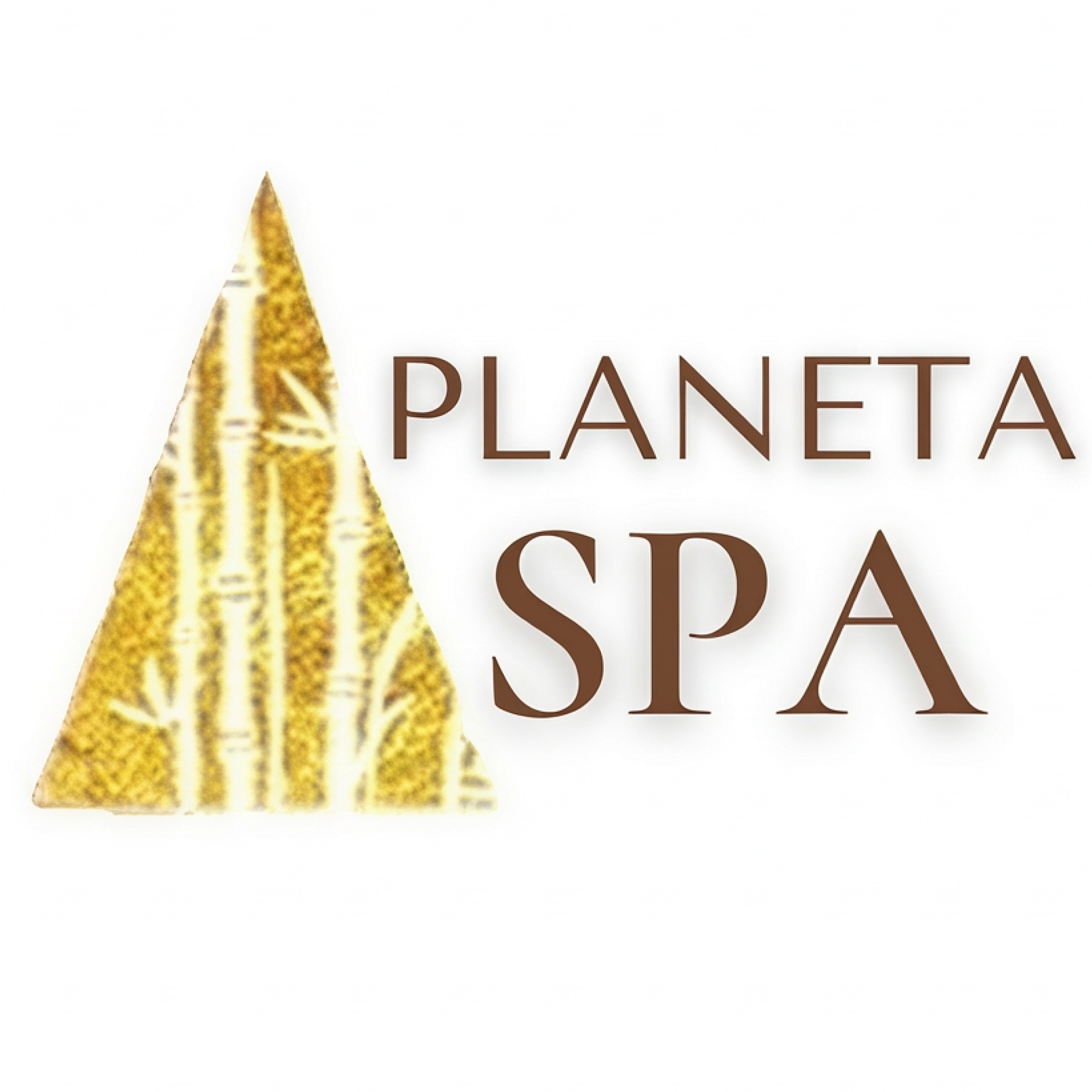 Сауна, турецкий хамам, джакузи от 30р, спа-программы от 165р в "Планета SPA"